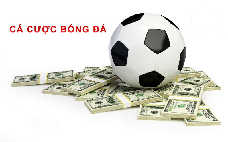 Hướng dẫn cai nghiện cá cược bóng đá theo lộ trình bền vững