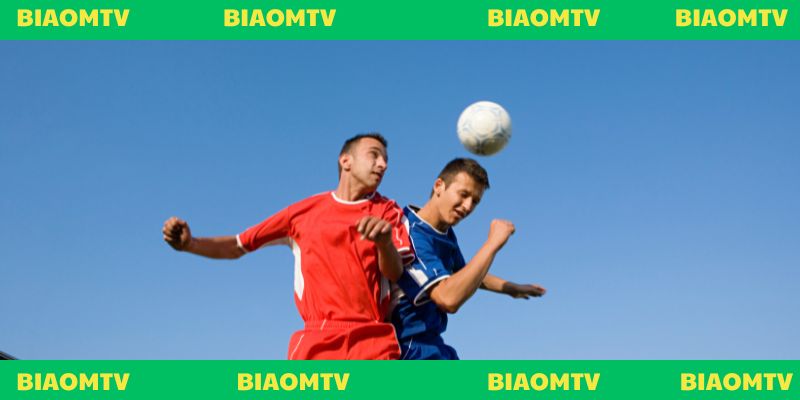 Người xem tại Biaom TV có thể tìm thấy tổng hợp các video
